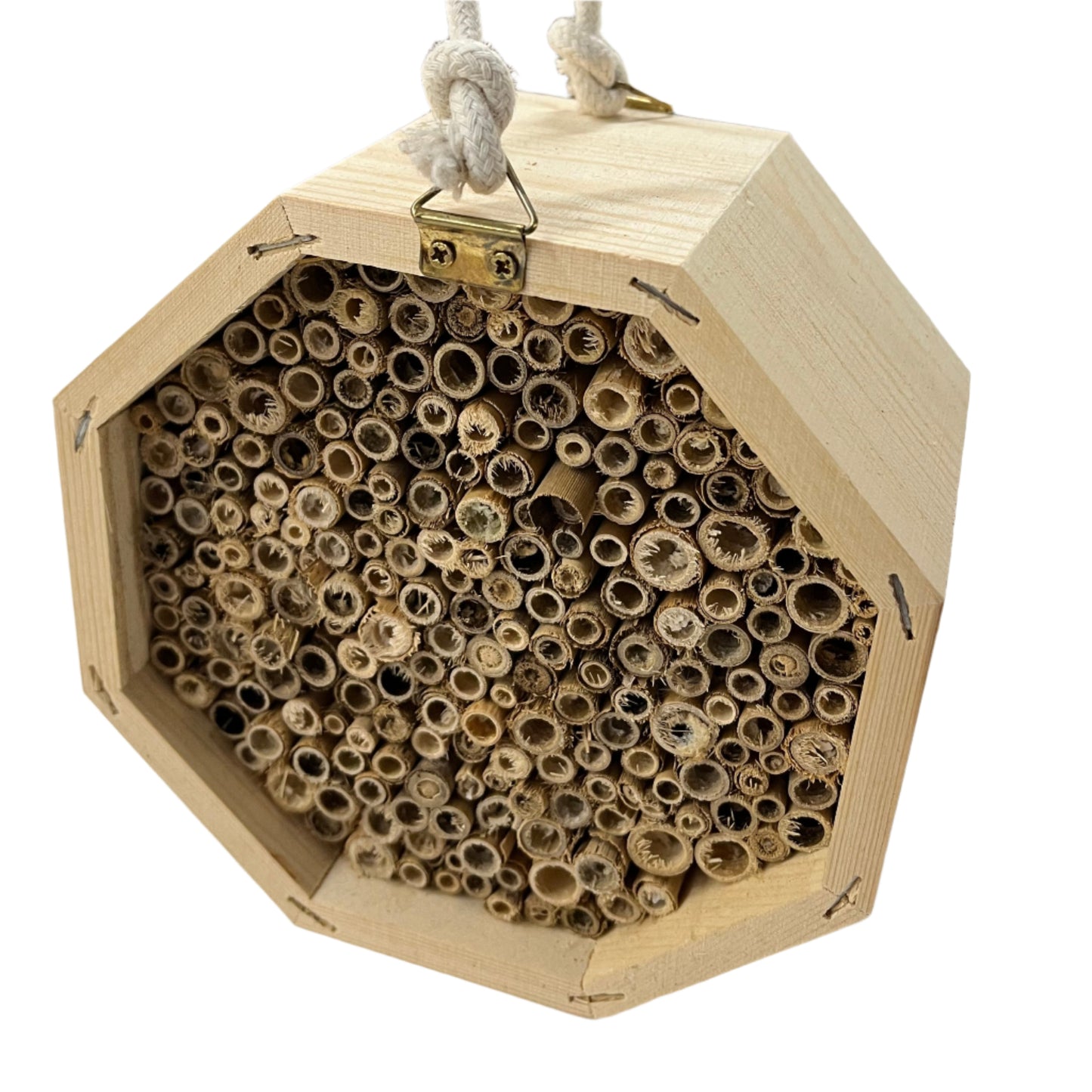 Maison d'abeilles maçonnes