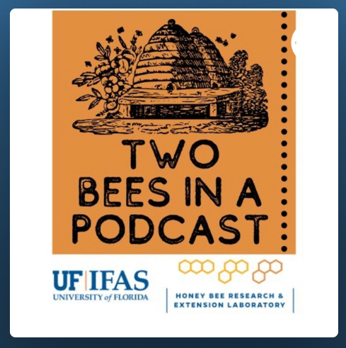 TWO BEES IN A PODCAST