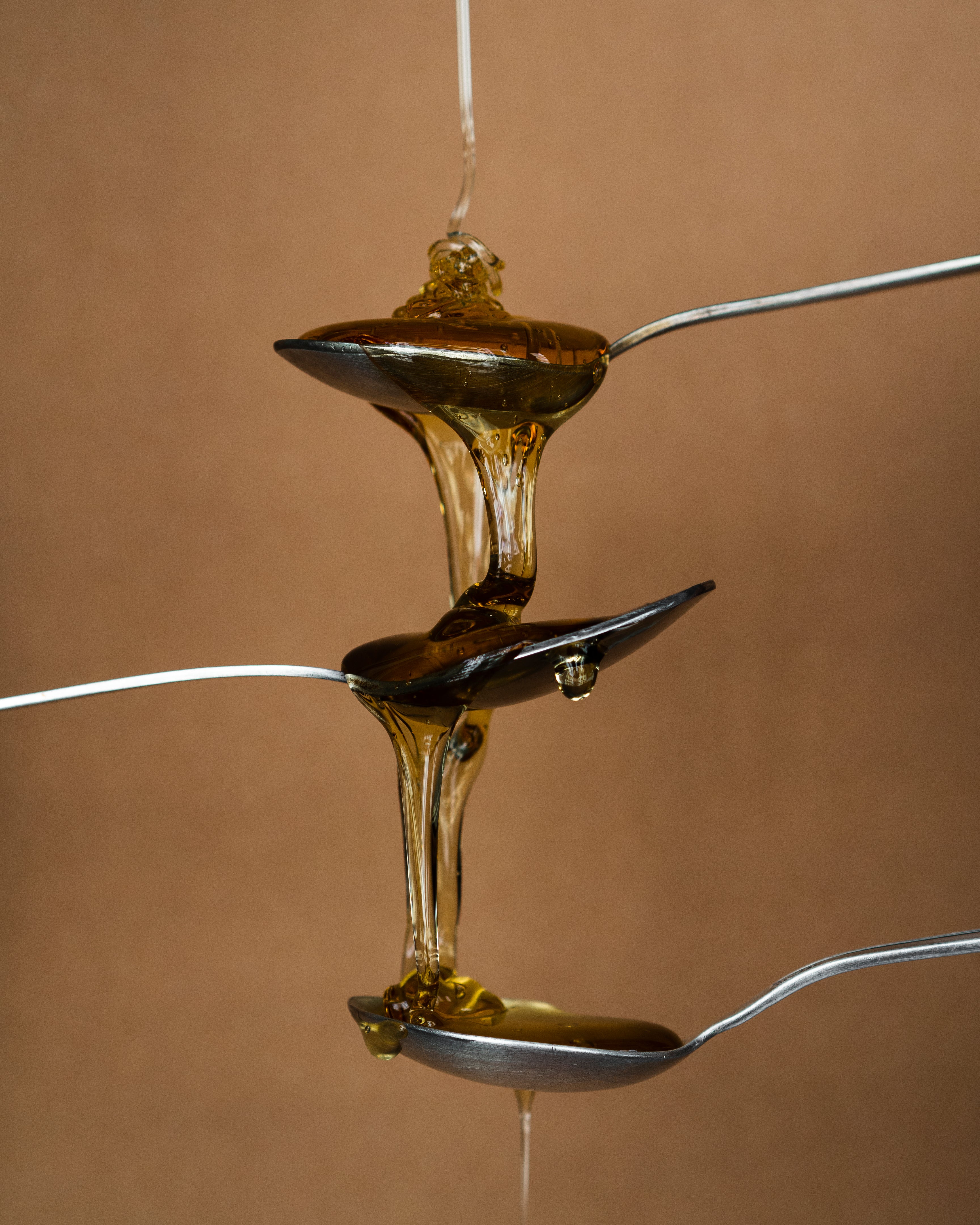 Équipement d'extraction – MeliFera Equipement Inc.