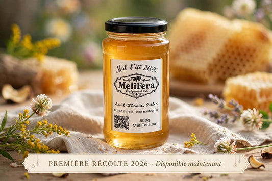 Miel d’été 2026 - 500g